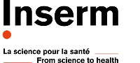 Bern University logo