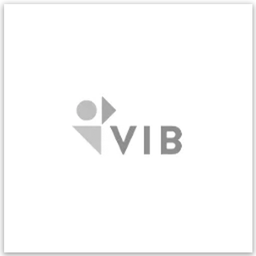 logo Flemish Institute for Biotechnology