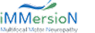 iMMersioN logo