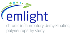 Emlight logo